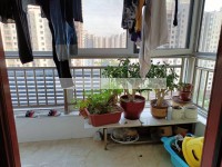 其它图